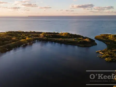 AUTOPISTA BUENOS AIRES LA PLATA KM 30,5 y CALLE 47  GUILLERMO HUDSON