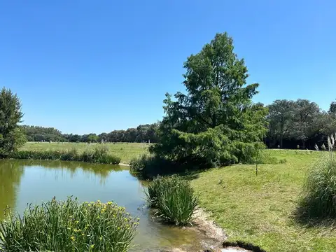 Terreno en Venta de 1293,0 m2