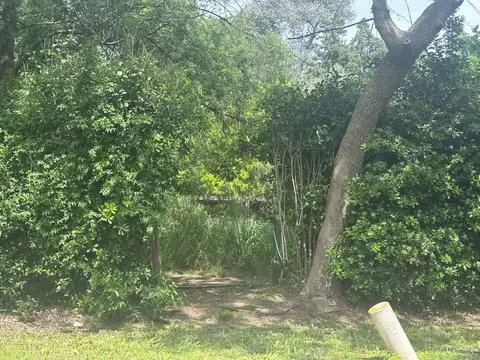 Monseñor D´andrea 1800