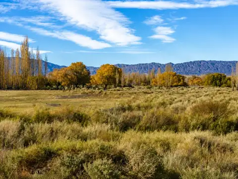 Ruta 150 y El Jarillal Las Flores 100