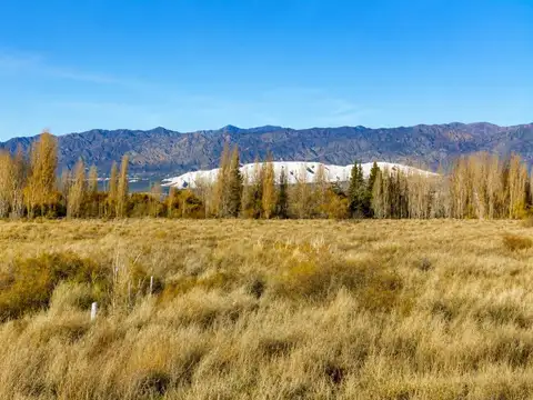 Terreno en Alquiler en Las Flores, USD 1.500