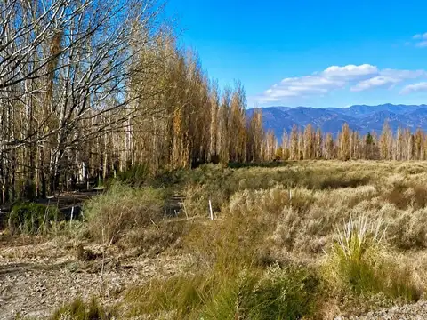 Terreno en Alquiler de 19348,0 m2