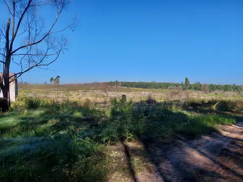 Lote - Venta - Argentina, CONCORDIA