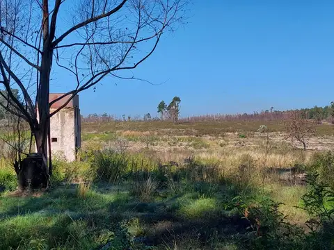 Terreno en Venta de 150000,0 m2