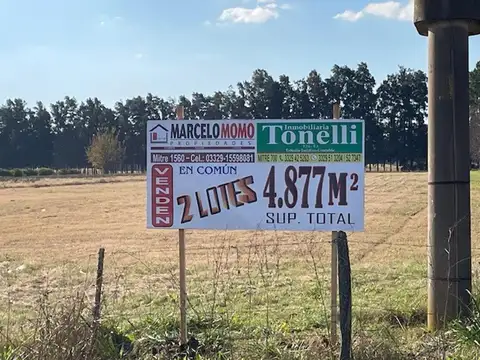 Ruta 9 161