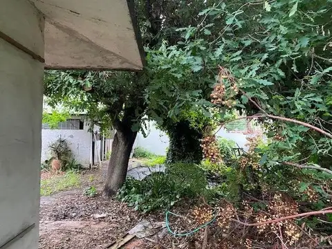 Terreno en Venta 31  mts Fondo