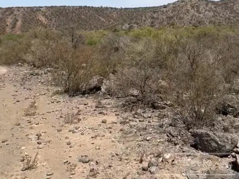 Campo en venta de 14385 has Con Aptitud Minera (oro) en San Juan
