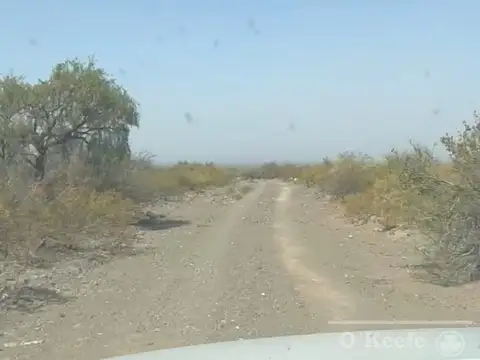 14.385 has en San Juan con Aptitud Minera (Oro)