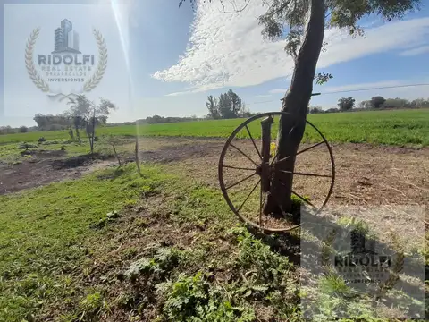 VILLA RUIZ LOS FRESNOS 4