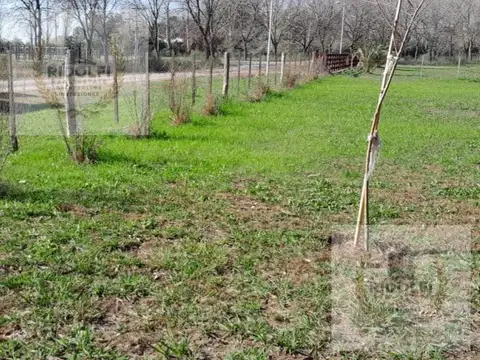 VILLA RUIZ LOS FRESNOS 4