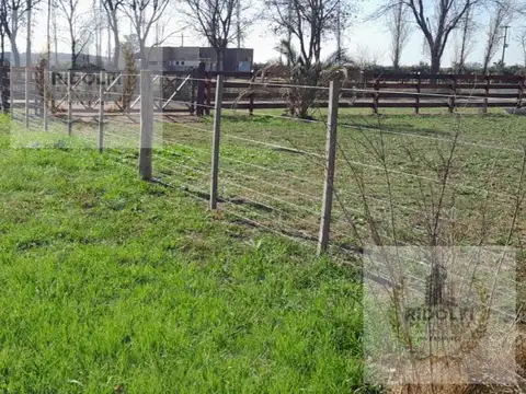 VILLA RUIZ LOS FRESNOS 4
