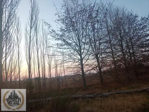 Venta lote 3800 M2 Los Fresnos Semi Cerrado en Villa Ruiz