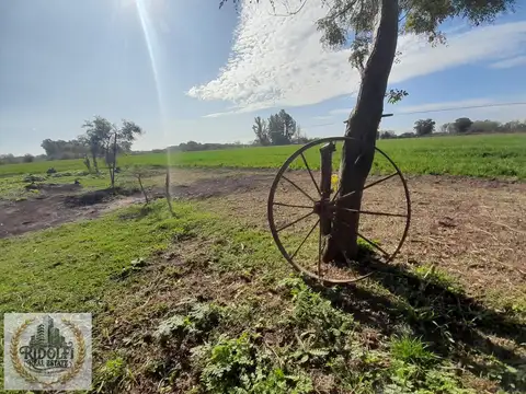 Venta lote 3800 M2 Los Fresnos Semi Cerrado en Villa Ruiz
