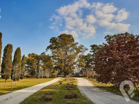 Terreno en Venta de 988,0 m2