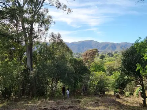 Venta lote 717 m2 villa giardino