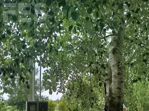 Terreno en Venta de 1000,0 m2