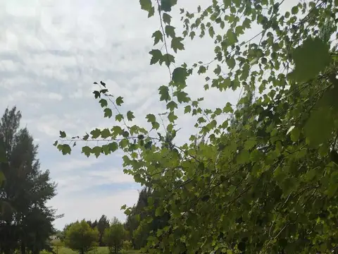 Terreno en Venta en Jeppener, USD 25.000