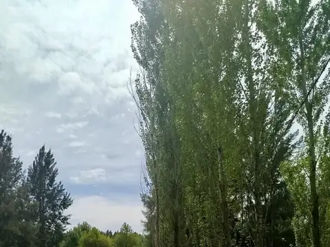 Lote en Ecobarrio El Retiro Brandsen