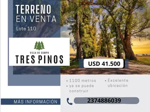 IMPERDIBLE LOTE EN TRES PINOS