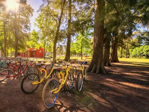 IMPERDIBLE LOTE EN TRES PINOS