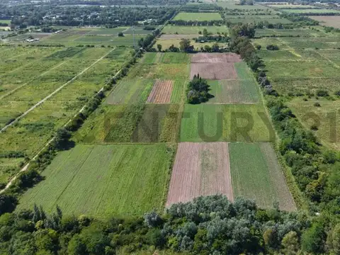 Campo en Venta de 100  ha