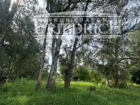 hermosa hectarea en general rodriguez