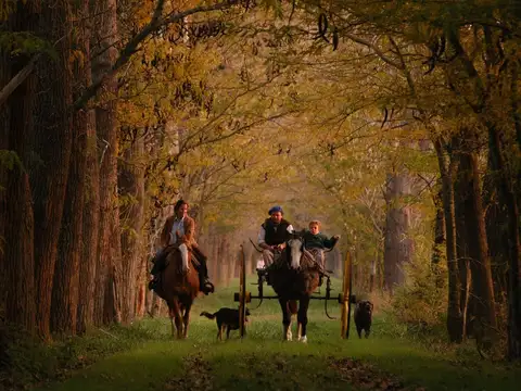 BENQUERENCIA , ESPECTACULAR BARRIO DE CHACRAS