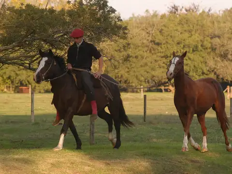  BENQUERENCIA , ESPECTACULAR BARRIO DE CHACRAS 