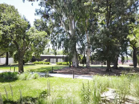 Departamento en Alquiler A Estrenar