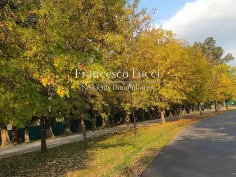 Gral. Hornos Lote / N° 2800