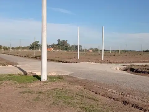 Siempre Verde - 22 y 602