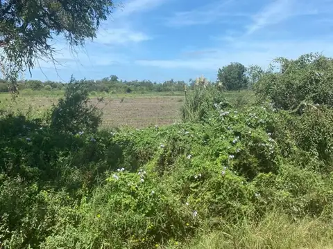 Venta de terreno. Monte Vera
