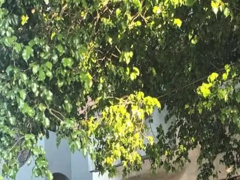 Depósito Alquiler  La Paternal