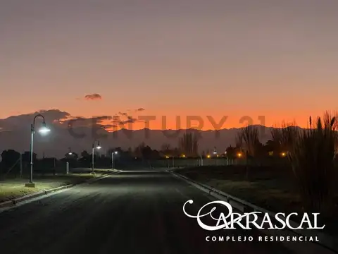 Terreno en Venta de 506,0 m2