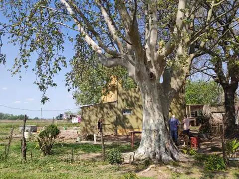 CHACRA EN VENTA EN BRAGADO