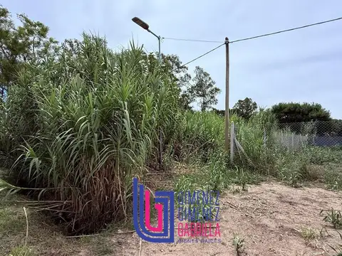 Terreno en Venta 41  mts Fondo