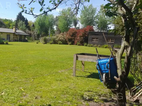 Alquiler Casa - Casa en Chacras de Murray