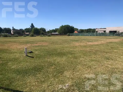 Terreno en Venta 41  mts Fondo