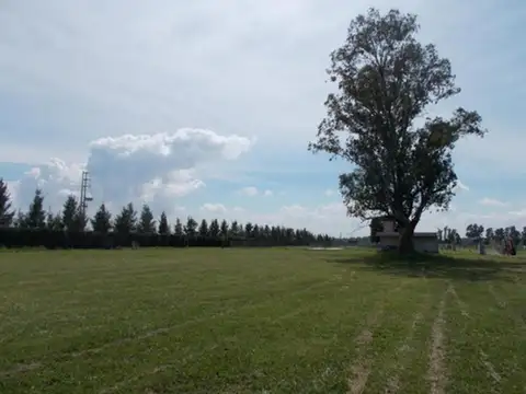 Terreno en Venta de 800,0 m2