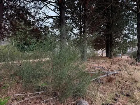 Terreno en Venta de 1109,0 m2