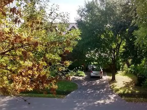 CAMPOS DE ALVAREZ 100