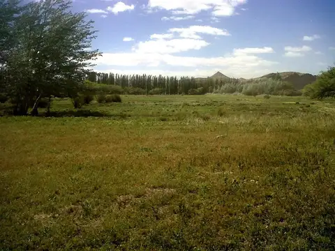 Campo en Venta Agricola