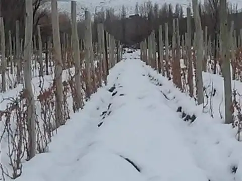 Campo en Venta de 12,25  ha