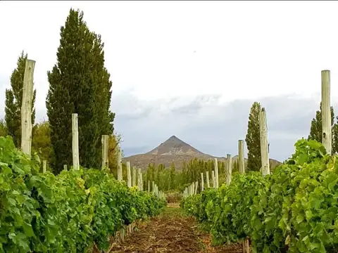 PROPIEDADES RURALES - MIXTO - LOS ALTARES