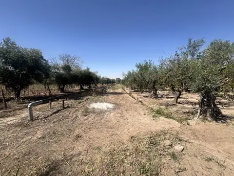 Franklin Villanueva , Piso 0