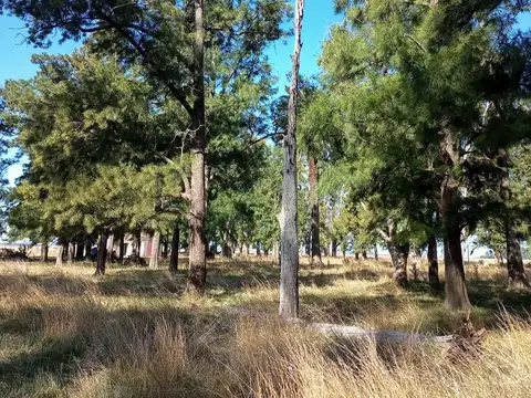 Campo en Rauch