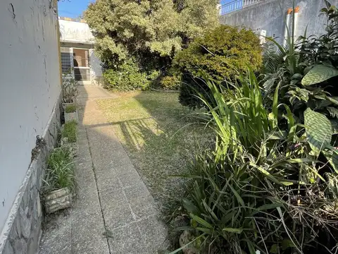 AMEGHINO al 1000