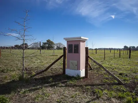 Terreno en Venta 93  mts Fondo