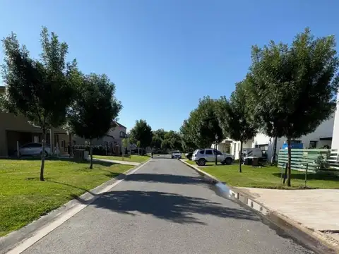 Santo Tomás 100