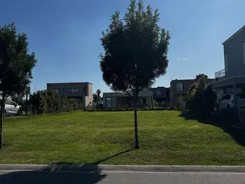 Santo Tomás 100